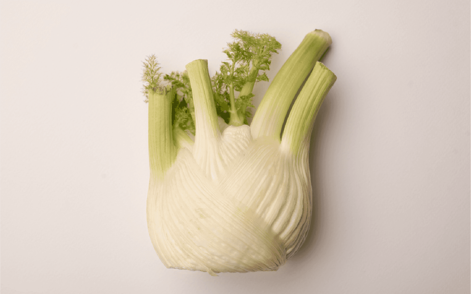 Top 7 Cooling Herbs and Spices for Dubai Cooking- Fennel